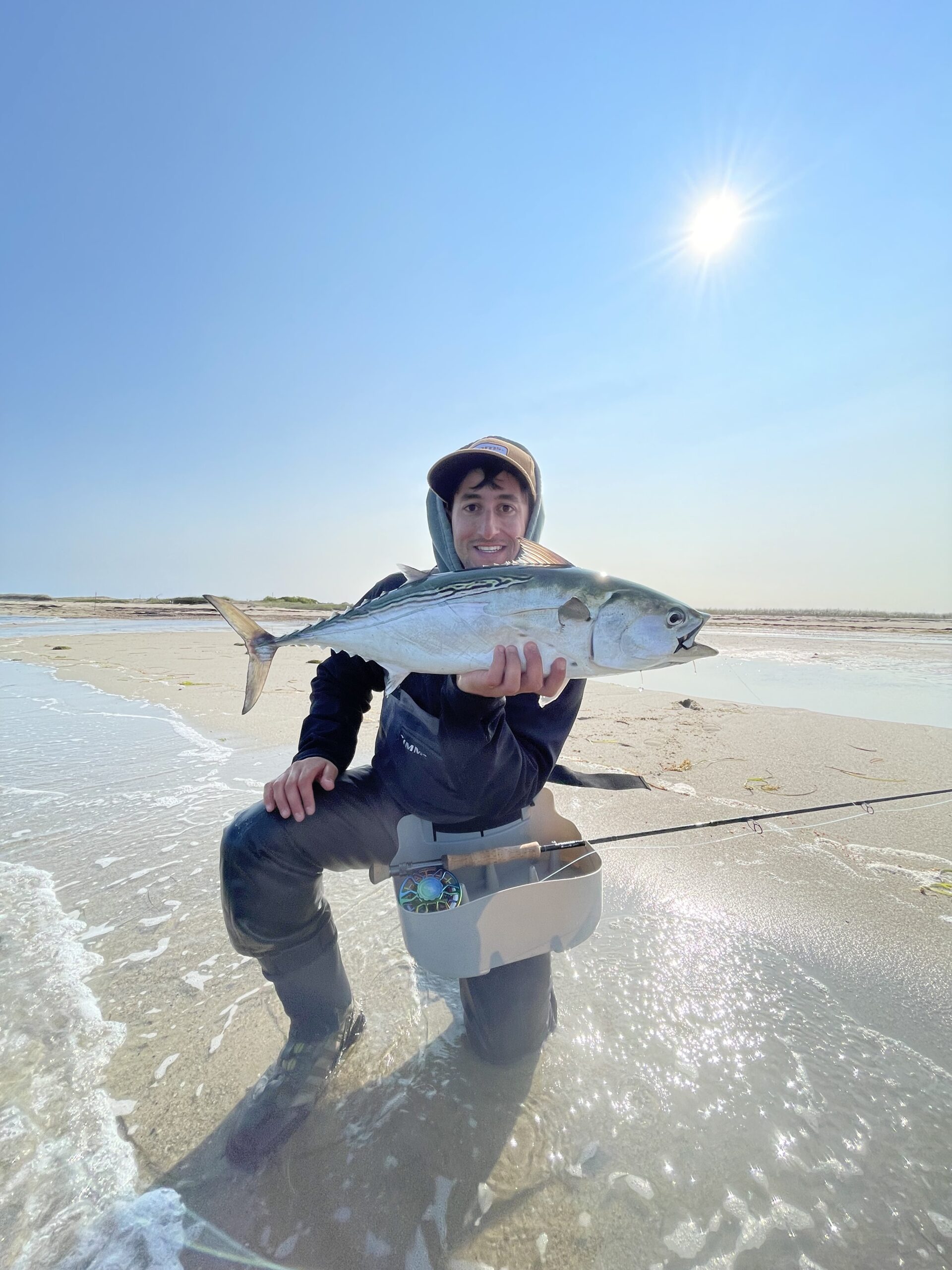 Jack with false albacore