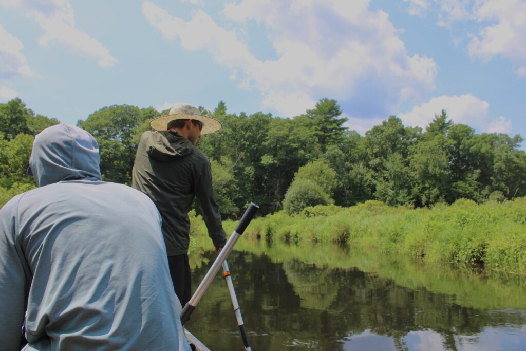 Canoeing the Taunton River