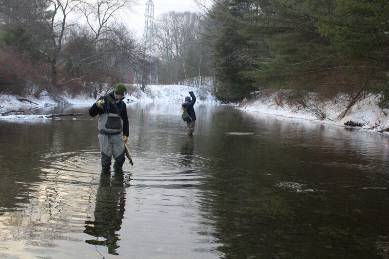 Anglers fishing the Swift River